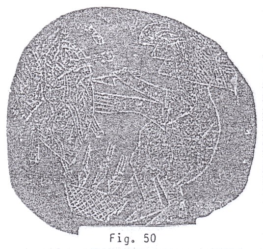Fig. 50: Preparan
                                el coraz�n
