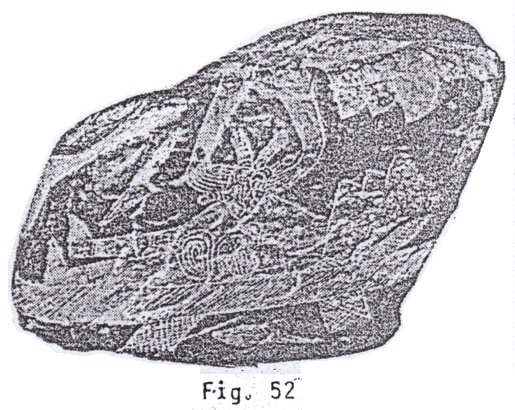 Fig. 52: Extraen el
                                coraz�n del recibidor