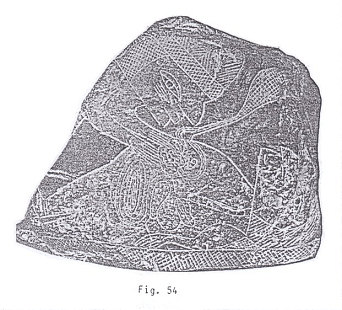 Fig. 54: Transplantan el coraz�n