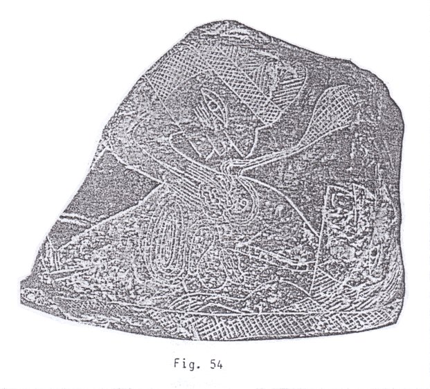 Fig.
                              54: Transplantan el coraz�n