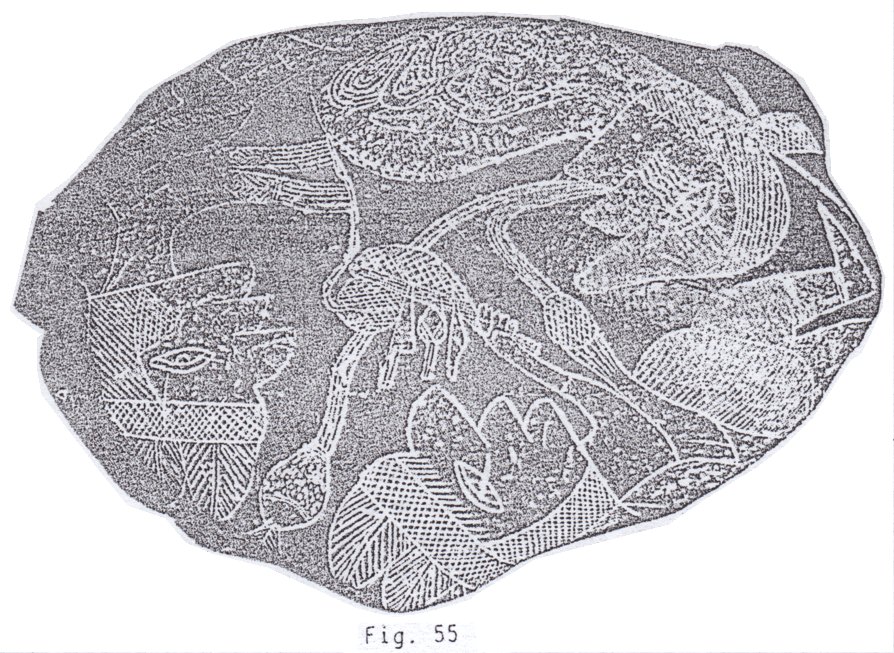 Fig.
                              55: Suturan la herida