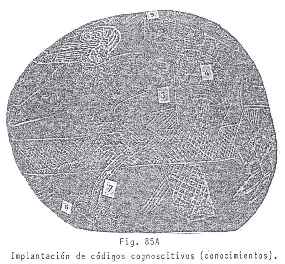 Fig.
                                85A: Implantaci�n de c�digos
                                (conocimientos)