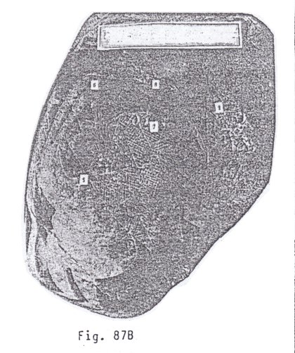 Fig. 87B con un
                            astr�logo 02