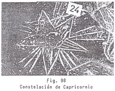 Fig. 98: la
                          constelaci�n de Capricornio