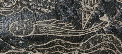 Konstellation eines Gesichts mit
                            Schweif