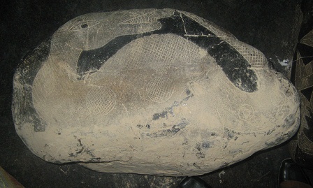 Ein junger Dinosaurier (Brontosaurus oder
                          Camarasaurus)
