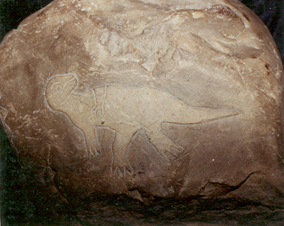 Dinosaurier
                        (Tenentosaurus?)