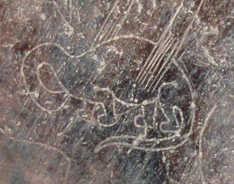 El
                          bebe en la barriga del dinosaurio embarazado
                          (Brontosaurus o Camarasaurus)
