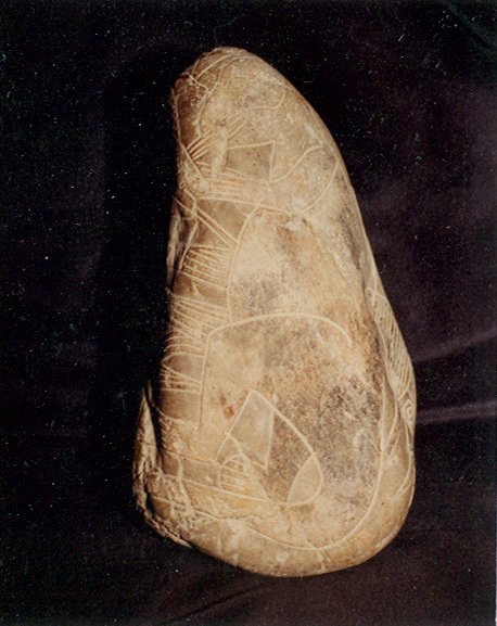 Grosser Dinosaurier 02 (Tenentosaurus?)