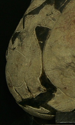 Detail, der kleine Dinosaurier (auch
                            ein Stegosaurus-Brontosaurus) 02