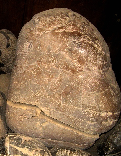 Ein Weiser greift einen Dinosaurier an
                          01