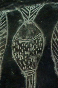 The
                          surgical instruments, the bottle for the
                          infusion