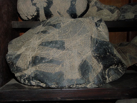 Operaci�n de cabeza, arreglando el
                            cerebro 04