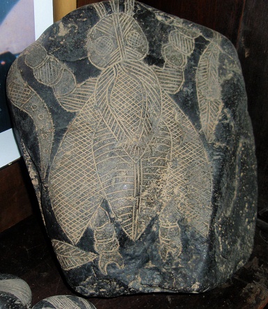 Insecto gigante, primer plano