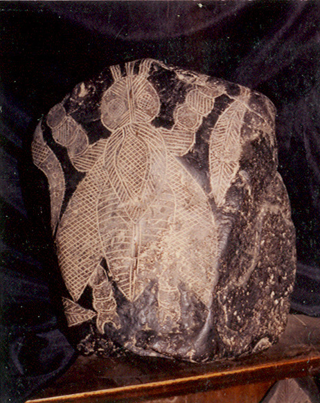 Insecto gigante