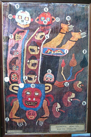 Ein Plakat mit genetisch
                            charakterisierten Kleidern aus Paracas,
                            Nahaufnahme