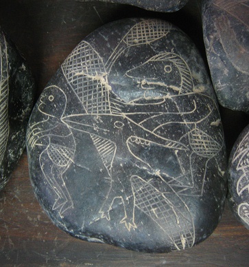 Ein Flugsaurier Pteraranodon