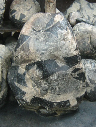 Kaiserschnitt 01, Nahaufnahme