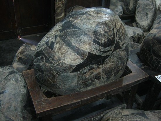 Kopfoperation mit zwei Weisen
                            (Chirurgen), die mit dem Zirkel das Loch
                            herausschneiden 01