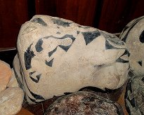 Un dinosaurio come un lagarto, y hay un
                          sabio