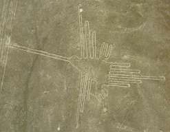 Nasca, el dibujo de l�neas de Nazca del
                          colibr�