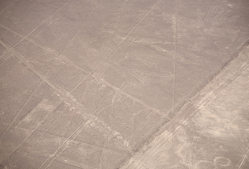 Nazca, dibujo de l�neas de la garza
                          (flamenco, alcatraz) [7], largo: 300 m, ancho:
                          54 metros
