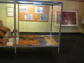 Fabric with feathers of Chincha
                            culture