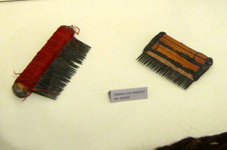 Combs of cactus spines