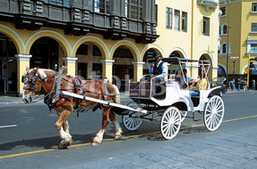 Carro
                  a caballos en Lima