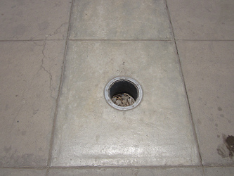 El hueco 2
                        en el piso del parque central que viene de un
                        luz defecto en el piso