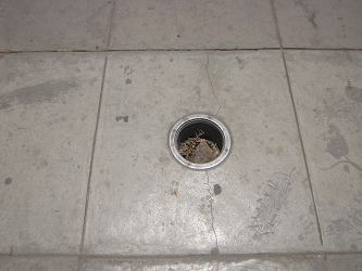 El hueco 4 en el piso del parque central
                        que viene de un luz defecto en el piso