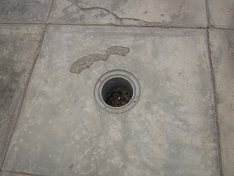 El hueco en el piso del
                                      parque central, vista 01