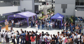 Instituto San Pablo, patio con
                            campa�as
