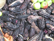 Schwarzer Mais, Nahaufnahme