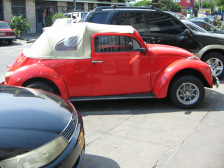 Avenida Urtuaga: VW-K�fer, span.
                          "sapo" (Kr�te)