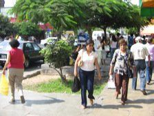 Avenida Urtuaga, Schattenb�ume