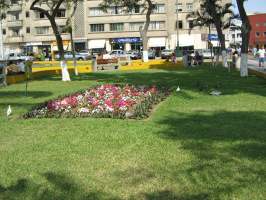 Jesus Maria, Zentralpark, Blumenfeld mit
                          Tauben 01