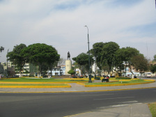 Caceres-Park, Baumgestalten