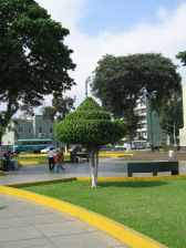 Caceres-Park, gestutzte, kleine
                          Baumgestalt