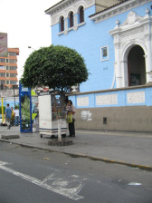 Anfahrt im Bezirk Bre�a, Avenida Ugarte,
                          Strassenladen mit Baum