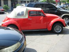 Avenida
Urtuaga: VW sapo Avenida Urtuaga: VW sapo