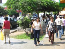 Avenida Urtuaga, arboles que dan
mucha sombre Avenida Urtuaga, arboles que dan mucha
sombre