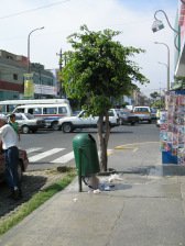 Avenida Urtuaga, cubo de basura defecto Avenida Urtuaga, cubo de basura defecto