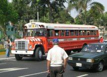 Avenida Dominicana: Bus naranja no. NO38,
                        linea de bus entre San Mart�n de Porres a Ate