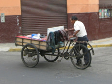 Miraflores, Fanning, Velotransporter /
                          Fahrradtransporter 01