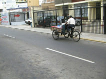 Miraflores, Fanning, Velotransporter /
                          Fahrradtransporter 02