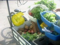 Miraflores: Verdurer�a al cruce Porta /
                        Manco Capac, verduras