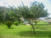 Miraflores, parque al lado del Malec�n
                        Balta con aspersor