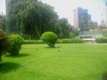 Miraflores, parque al lado del Malec�n
                        Balta con aspersor, primer plano