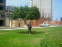Miraflores, Malec�n 28 de Julio, polic�a
                        durmiendo